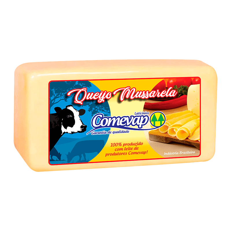QUEIJO DE MUSSARELA